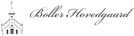 boller_logo2.png